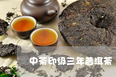 中茶印级三年普洱茶/2023101681814