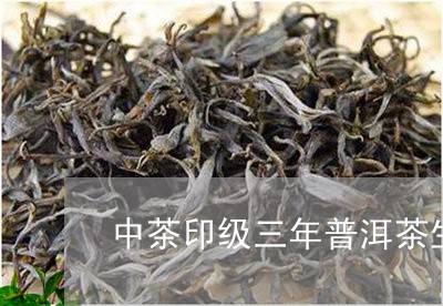 中茶印级三年普洱茶生茶/2023112737380