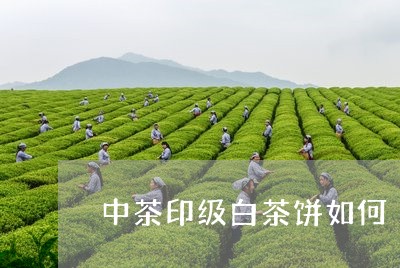 中茶印级白茶饼如何/2023121610382