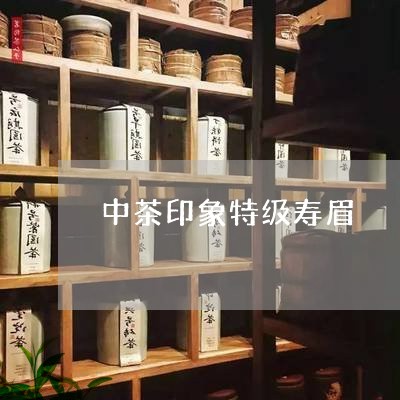 中茶印象特级寿眉/2023090850391