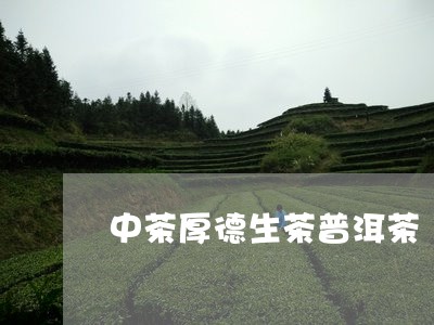 中茶厚德生茶普洱茶/2023091442607