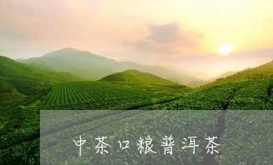 中茶口粮普洱茶/2023081592626