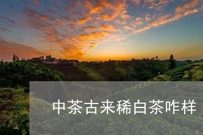 中茶古来稀白茶咋样/2023121645949