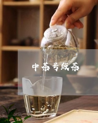 中茶号级茶/2023090688374