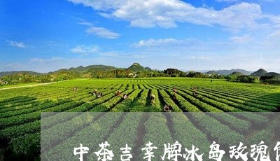 中茶吉幸牌冰岛玫瑰饼/2023092357138