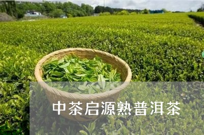 中茶启源熟普洱茶/2023120448492