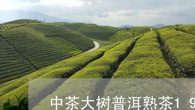 中茶大树普洱熟茶1949价格/2023053137572