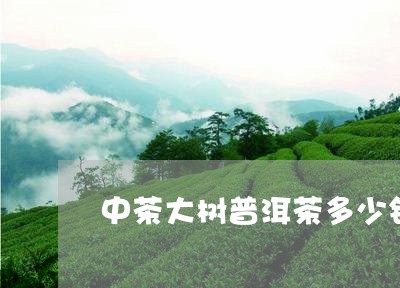 中茶大树普洱茶多少钱/2023062254358