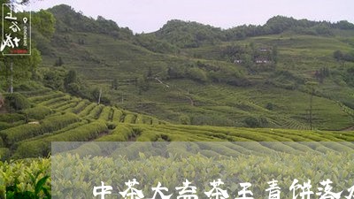 中茶大益茶王青饼落水洞古树茶/2023053108482