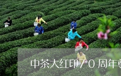 中茶大红印70周年尊享版/2023051155272