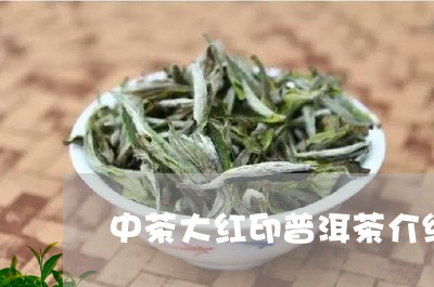 中茶大红印普洱茶介绍/2023080318270