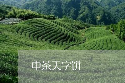 中茶天字饼/2023090207349