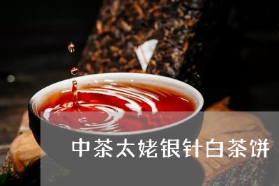 中茶太姥银针白茶饼/2023071423137