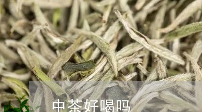 中茶好喝吗/2023090289381