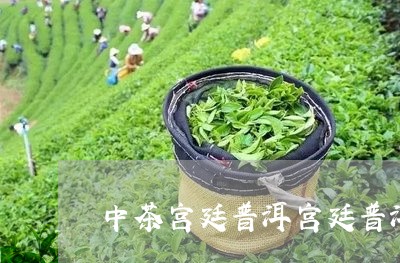 中茶宫廷普洱宫廷普洱茶多少价格/2023060207481