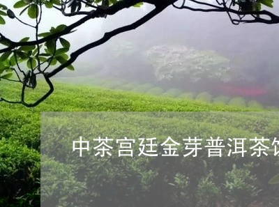 中茶宫廷金芽普洱茶饼/2023062351615