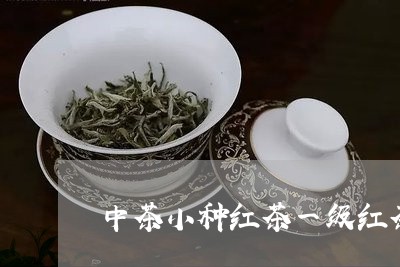 中茶小种红茶一级红茶标准/2023051162716