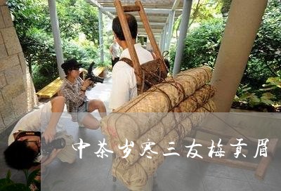 中茶岁寒三友梅贡眉/2023120368250