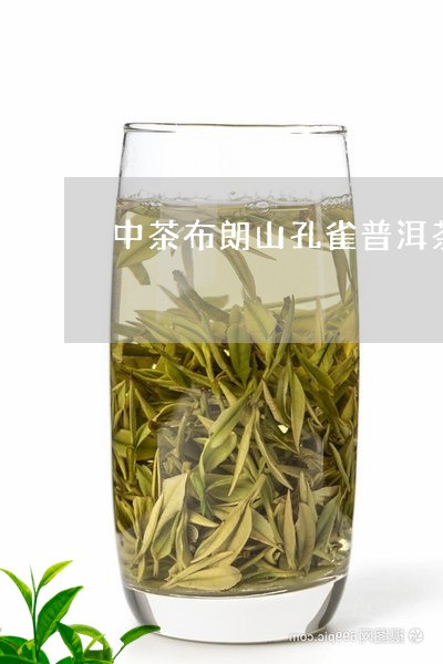 中茶布朗山孔雀普洱茶/2023120673925