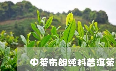 中茶布朗纯料普洱茶/2023111092505