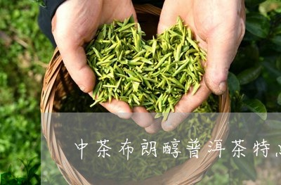 中茶布朗醇普洱茶特点/2023100793925