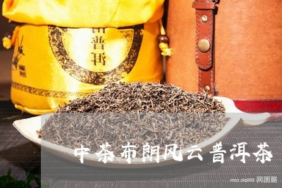 中茶布朗风云普洱茶/2023112612724