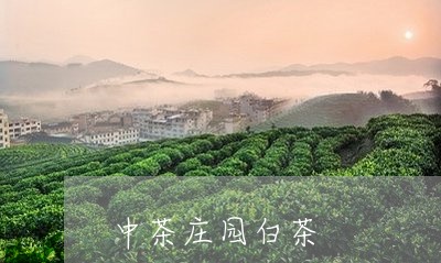 中茶庄园白茶/2023051218471