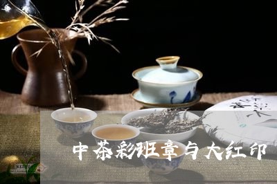 中茶彩班章与大红印/2023042567361