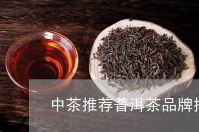 中茶推荐普洱茶品牌排行榜/2023112519261