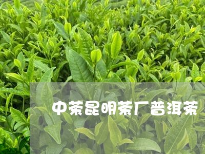 中茶昆明茶厂普洱茶/2023091459838