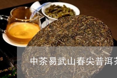 中茶易武山春尖普洱茶/2023073055141