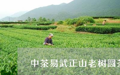 中茶易武正山老树圆茶/2023061150703