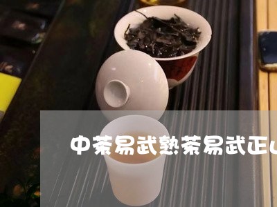 中茶易武熟茶易武正山早春茶价格/2023060195847