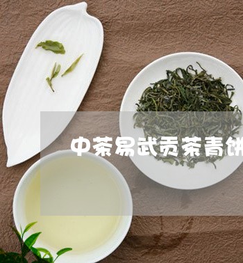 中茶易武贡茶青饼中茶茶寿茶怎么样/2023060421602