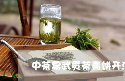 中茶易武贡茶青饼开汤/2023061171624