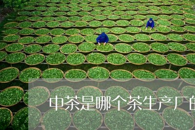 中茶是哪个茶生产厂的/2023060907149