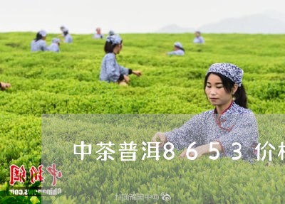 中茶普洱8653价格/2023061329380