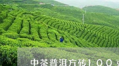 中茶普洱方砖100克/2023092513725