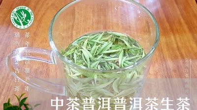 中茶普洱普洱茶生茶/2023091518492