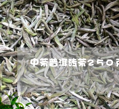 中茶普洱砖茶250克/2023061351815