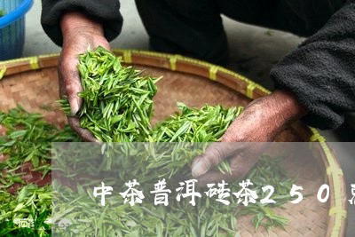 中茶普洱砖茶250克/2023092577282