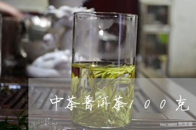 中茶普洱茶100克/2023091472582