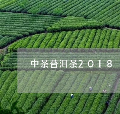 中茶普洱茶2018/2023070962514