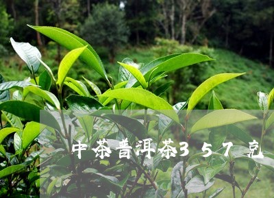 中茶普洱茶357克/2023112556158