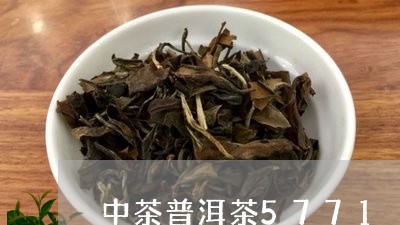 中茶普洱茶5771/2023070970370