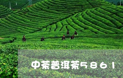 中茶普洱茶5861/2023070904846