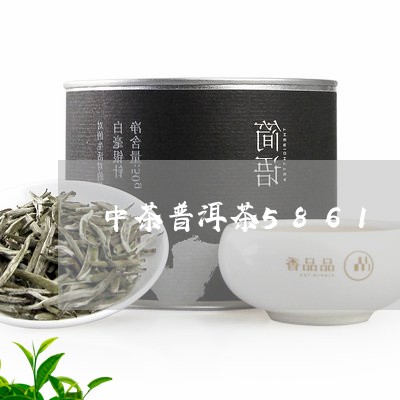 中茶普洱茶5861/2023091506267