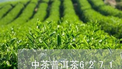 中茶普洱茶6271/2023120510603