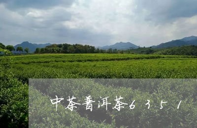 中茶普洱茶6351/2023091506389