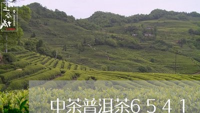 中茶普洱茶6541/2023120531594